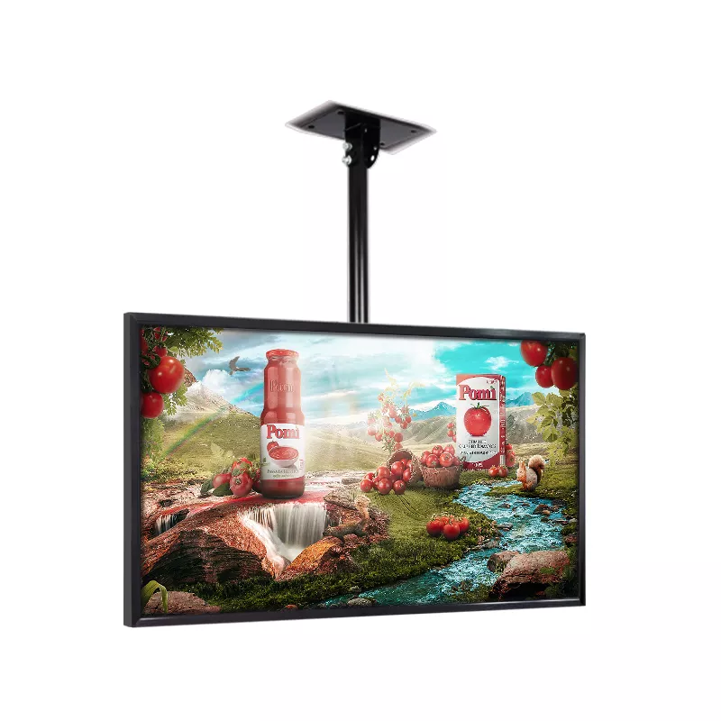window digital signage screen